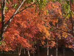 -长春市南湖公园