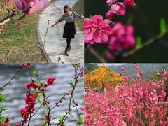 -桃花涧