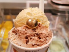 榛子巧克力冰淇淋-VENCHI 闻绮(上海佛罗伦萨小镇店)