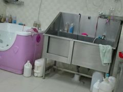 -贝妮宠物医院