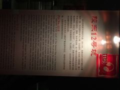 iphone_upload_pic-汉景帝阳陵博物院
