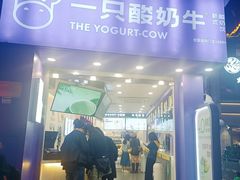 -一只酸奶牛(洪崖洞11楼店)