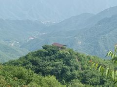 -大岭沟猕猴桃谷风景区