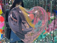 -武汉光谷K11