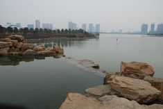 -天鹅湖体育公园