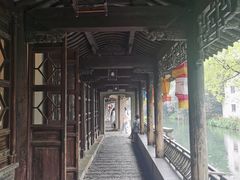 -昭明书院