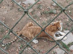 -西霞口神雕山野生动物世界