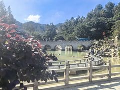 -九华山聚龙大酒店