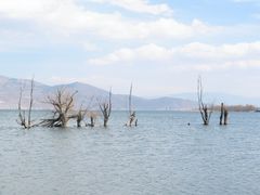 -大理洱海