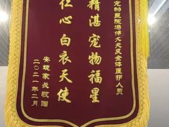 -中农国际动物医院24小时·猫科·骨科·急重症中心