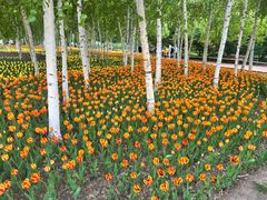 -长春公园(普阳街道)