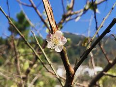 -广东天露山旅游度假区