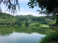 -火炉山森林公园