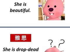 -新航道小语种·欧亚留学(万象城校区)