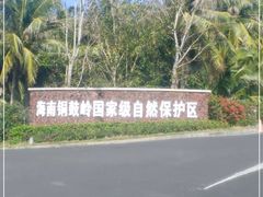 -海南铜鼓岭景区