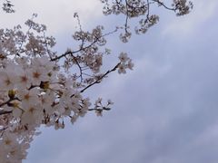 -龙美术馆(西岸馆)