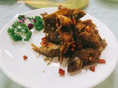 -新一家农家菜(华景新城店)