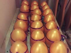 -西吉马游泳健身(协信店)