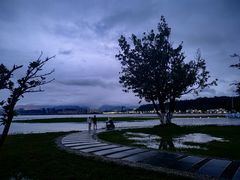 -洱海月湿地公园