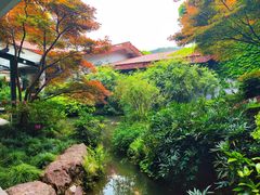 -中国茶叶博物馆(双峰馆区)