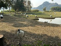 -星湖旅游景区七星岩