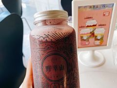 -野萃山·潮汕厚果汁(十亩地店)