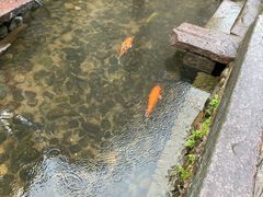 -前童古镇