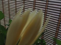 -苏州独墅湖书香世家酒店