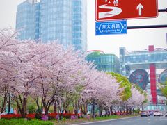 -北外滩滨江绿地