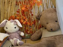 -天空花园餐吧·生日·团建(南山店)