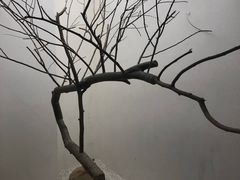 景观位-喜茶(深圳海岸城店)
