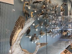 -浙江自然博物院(杭州馆)