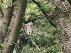 -苏州上方山国家森林公园