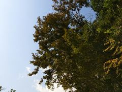 -上海佘山国家森林公园西佘山园