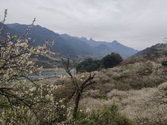 -广州市流溪河国家森林公园