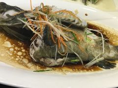 -渔傅·蓝海岸霞浦海鲜(正祥店)