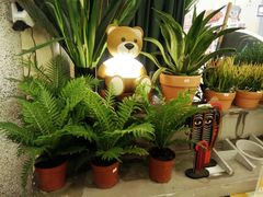 -PlantsEatery·植物食堂(REX春熙店)