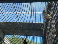 -宁波野生动物园