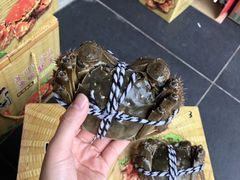 -渔娘蟹庄(阳澄湖莲花岛店)