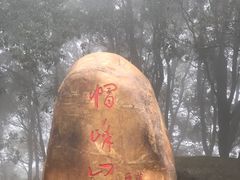 -南权皇烧鸡场