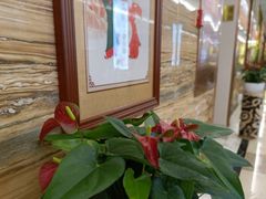 -颐而康·足疗·按摩·艾灸·SPA(金沙北路店)