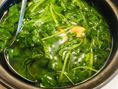 -荟廷·晶萃(陆家嘴尚悦湾店)