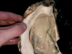 -忠记湛江烧蚝店
