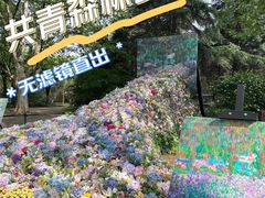 -上海共青森林公园