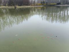 -仁和公园(顺义区)