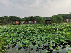 -上海怡沁园度假酒店