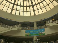 -澳门外港客运码头(轮渡站)