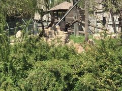 -石家庄市动物园