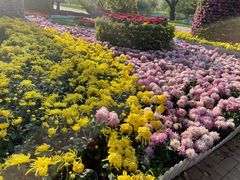 -沈阳植物园