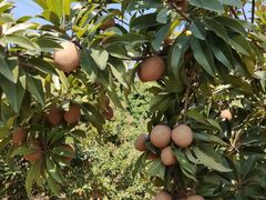 -中国移动南方基地